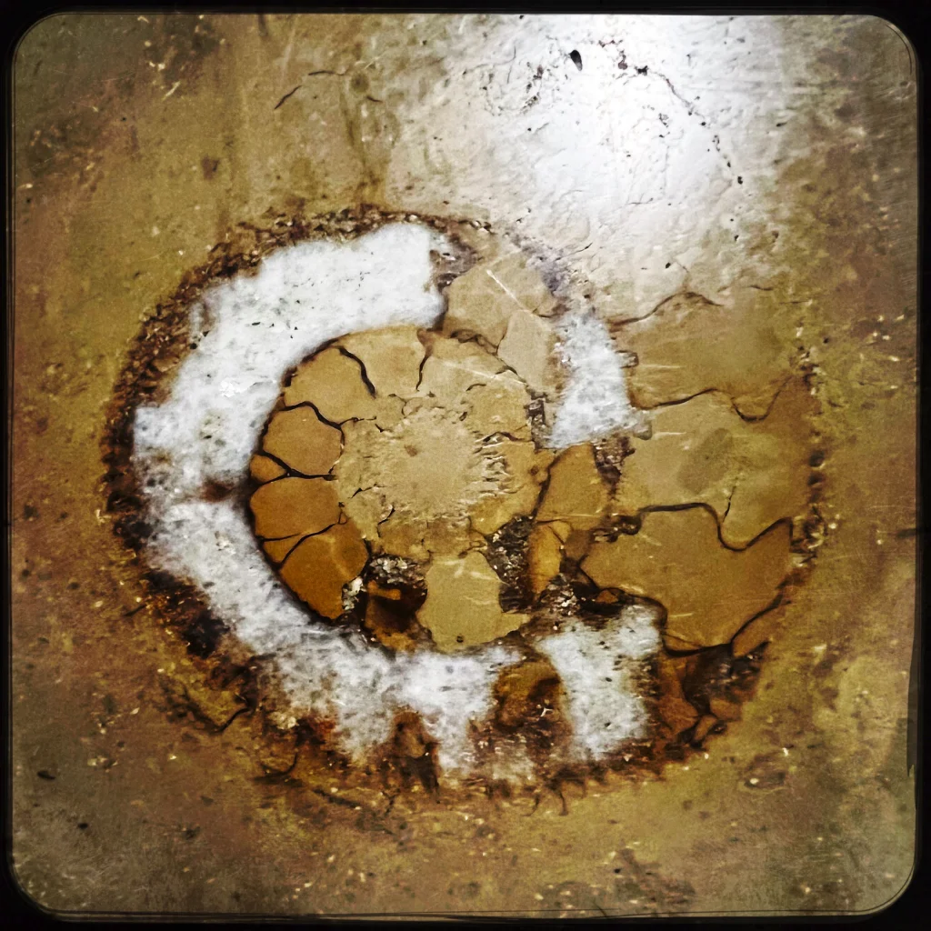 autorenberatung schnecke die schrittmacherin