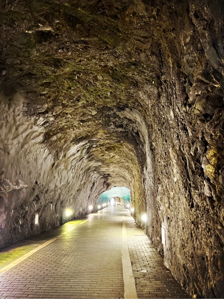 Verlagsberatung Tunnel die Schrittmacherin